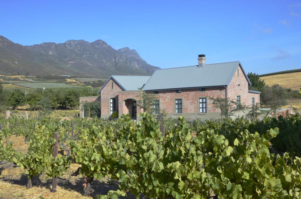 Vineyard Views Country House Riebeek-Kasteel Zewnętrze zdjęcie
