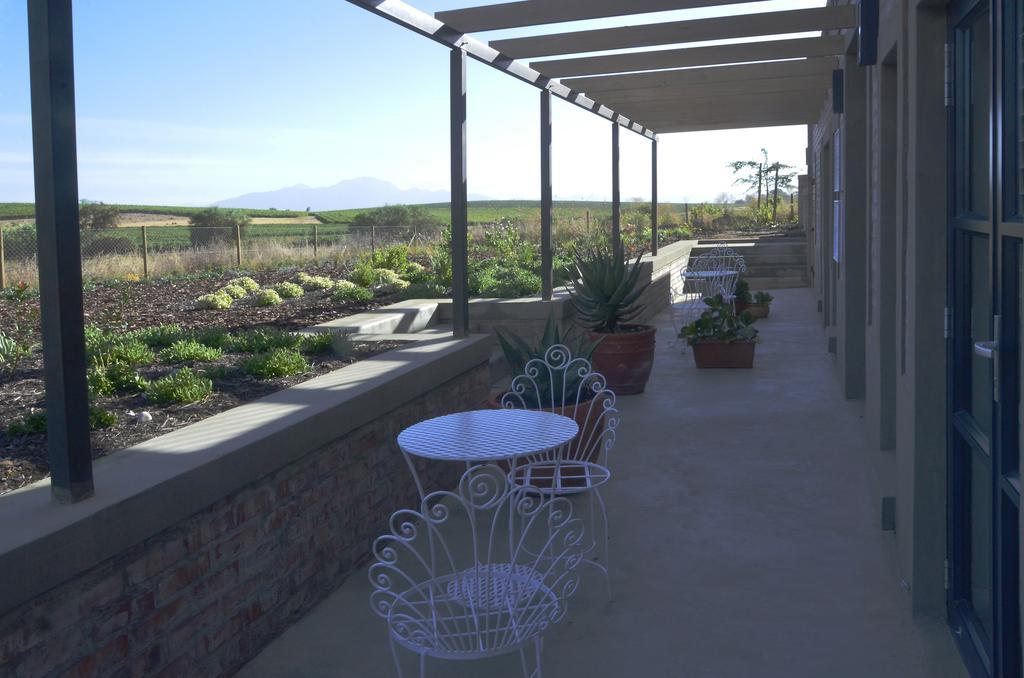Vineyard Views Country House Riebeek-Kasteel Zewnętrze zdjęcie
