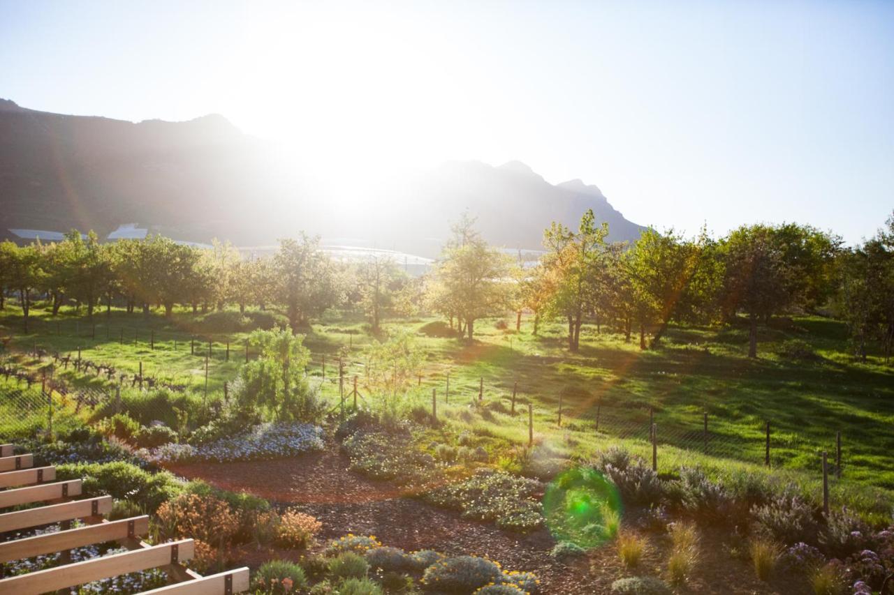 Vineyard Views Country House Riebeek-Kasteel Zewnętrze zdjęcie