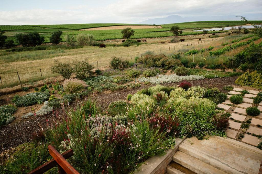 Vineyard Views Country House Riebeek-Kasteel Zewnętrze zdjęcie