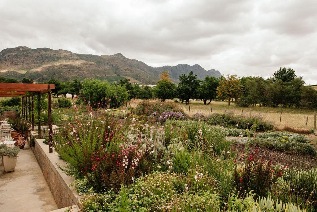 Vineyard Views Country House Riebeek-Kasteel Zewnętrze zdjęcie