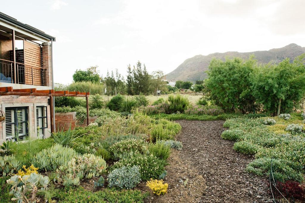 Vineyard Views Country House Riebeek-Kasteel Zewnętrze zdjęcie