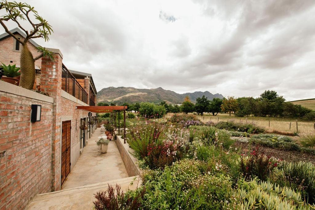 Vineyard Views Country House Riebeek-Kasteel Zewnętrze zdjęcie