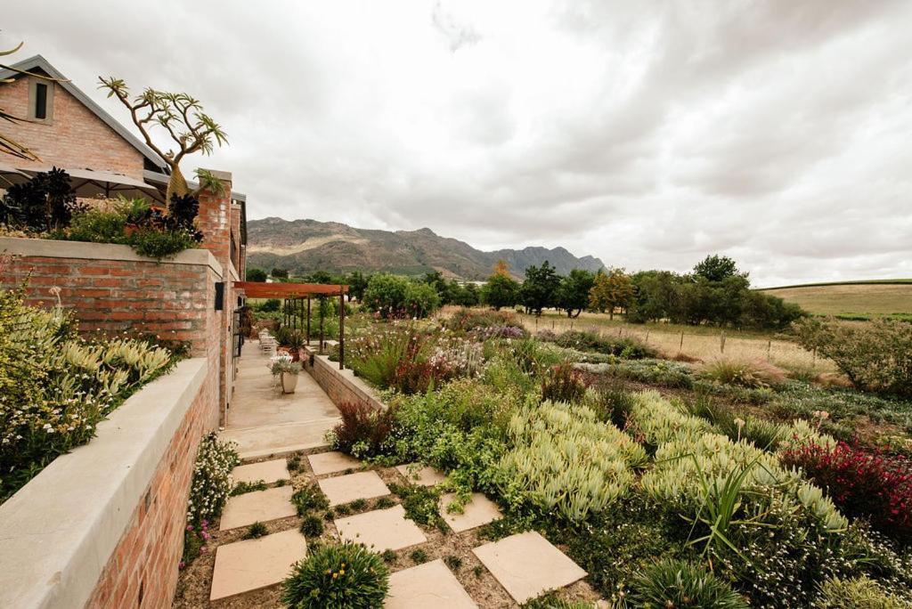 Vineyard Views Country House Riebeek-Kasteel Zewnętrze zdjęcie